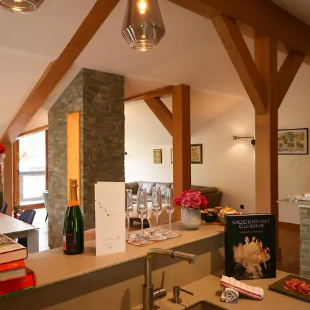 Appartement 1003 OURS BLANC – Résidence L’Ourse Bleue – Courchevel Moriond *